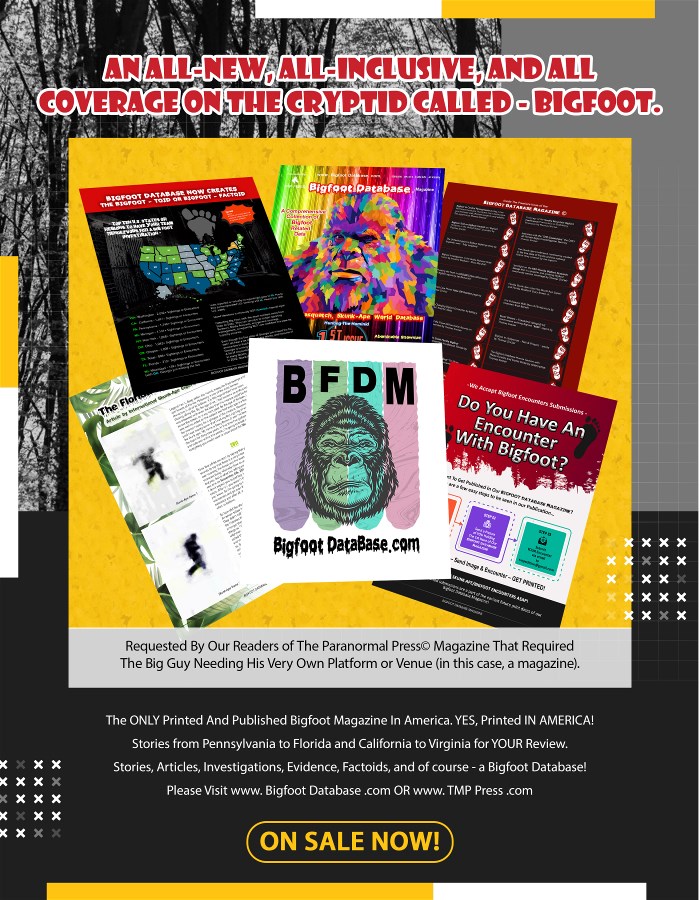 3 Bigfoot 900x700